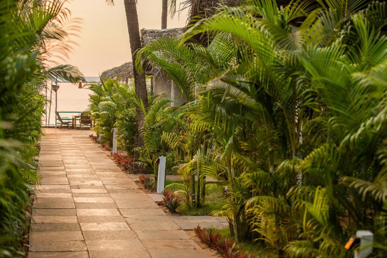 Agonda Shell Beach Resort Канкон Экстерьер фото