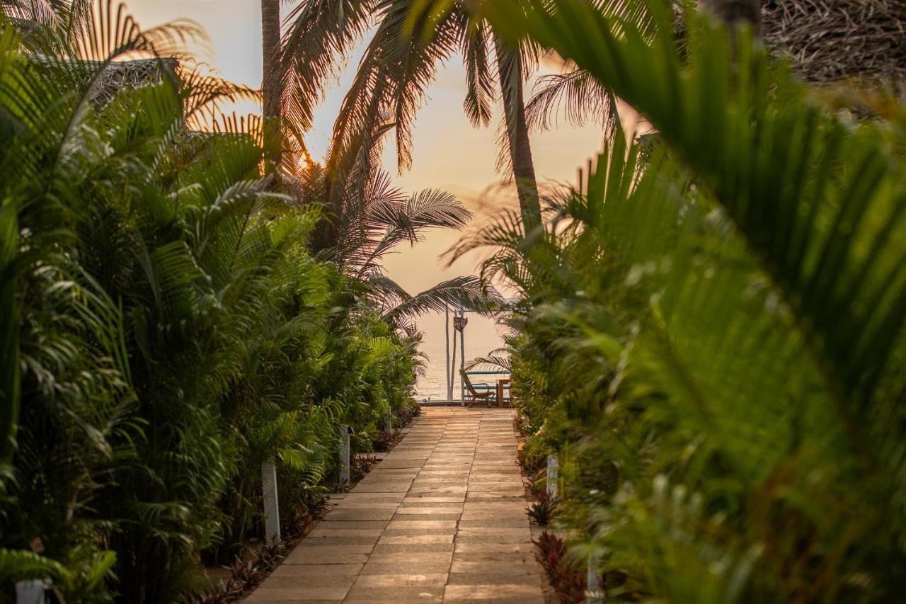 Agonda Shell Beach Resort Канкон Экстерьер фото